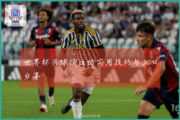 世界杯买球投注的实用技巧与入口分享