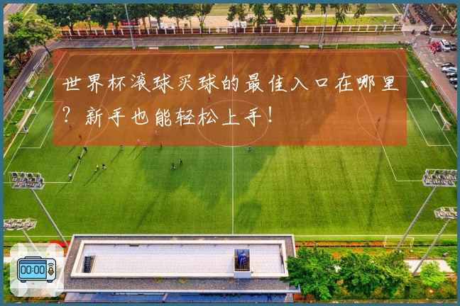 世界杯滚球买球的最佳入口在哪里？新手也能轻松上手！