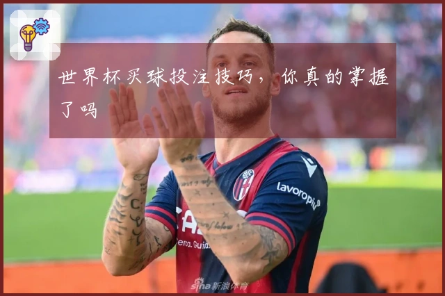 世界杯买球投注技巧，你真的掌握了吗