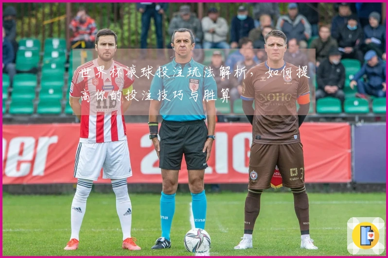 世界杯滚球投注玩法解析，如何提高你的投注技巧与胜算
