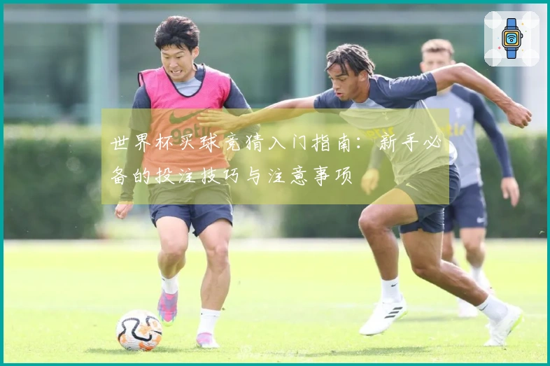 世界杯买球竞猜入门指南：新手必备的投注技巧与注意事项
