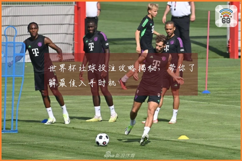 世界杯让球投注攻略揭秘，带你了解最佳入手时机