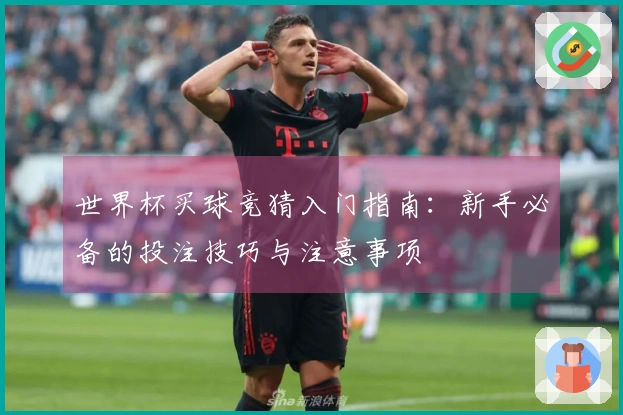 世界杯买球竞猜入门指南：新手必备的投注技巧与注意事项