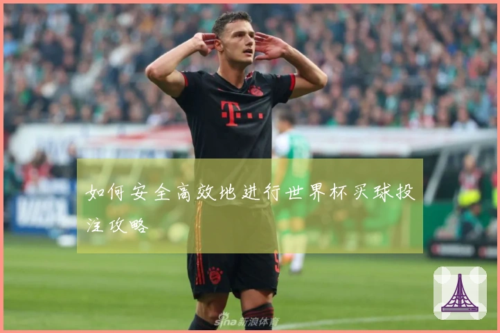 如何安全高效地进行世界杯买球投注攻略