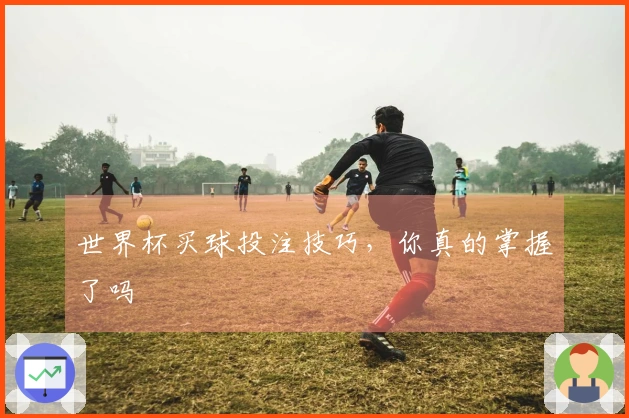 世界杯买球投注技巧，你真的掌握了吗