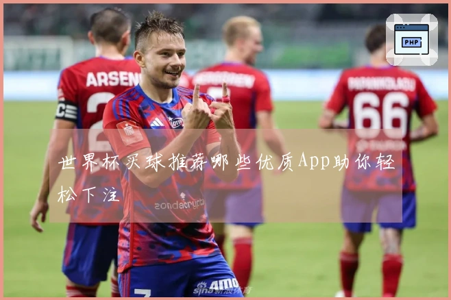 世界杯买球推荐哪些优质App助你轻松下注